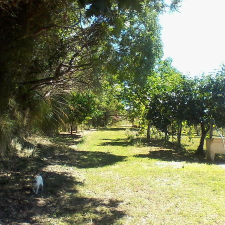 The Country Path B&B Toffia Екстер'єр фото