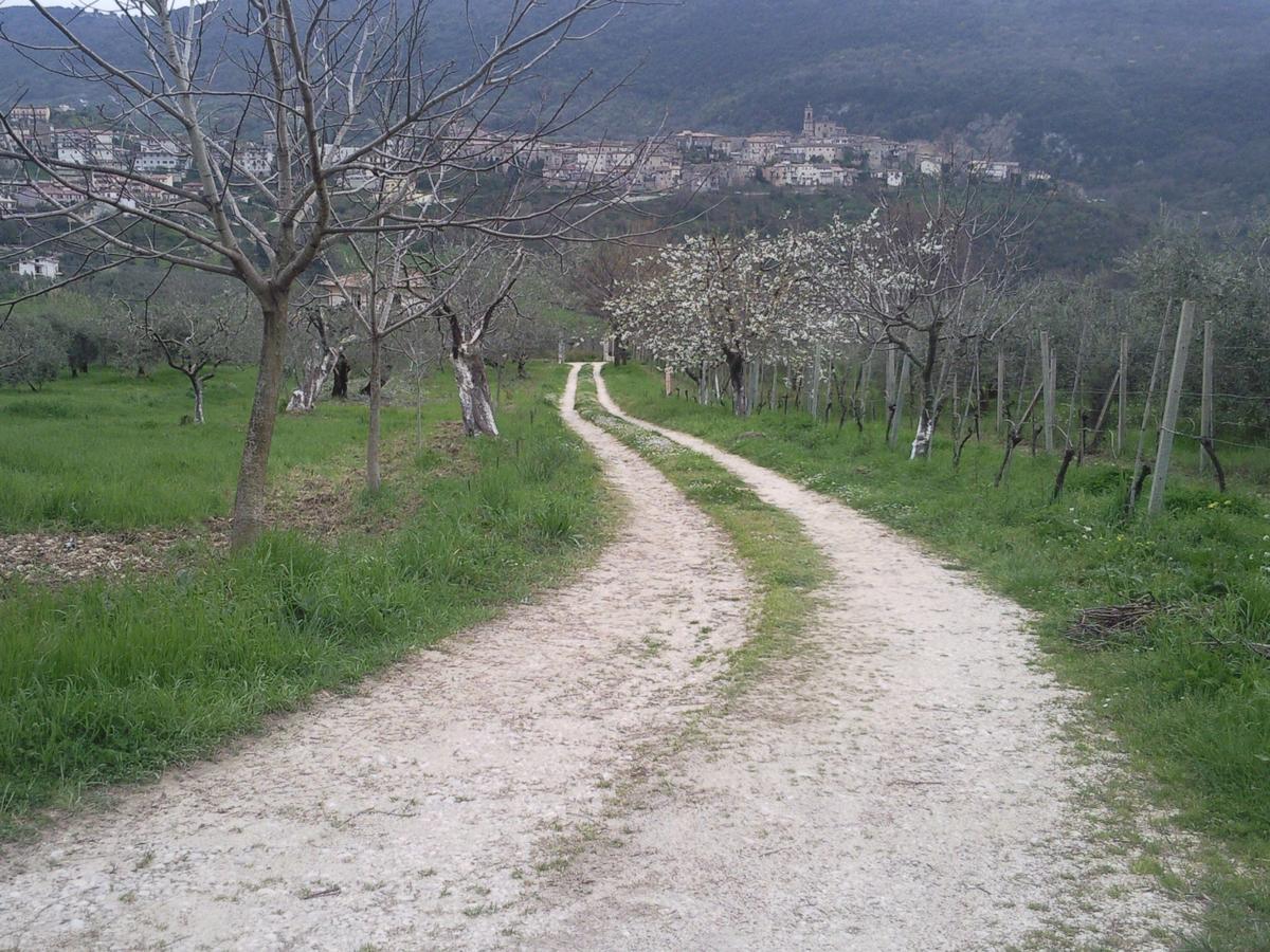 The Country Path B&B Toffia Екстер'єр фото
