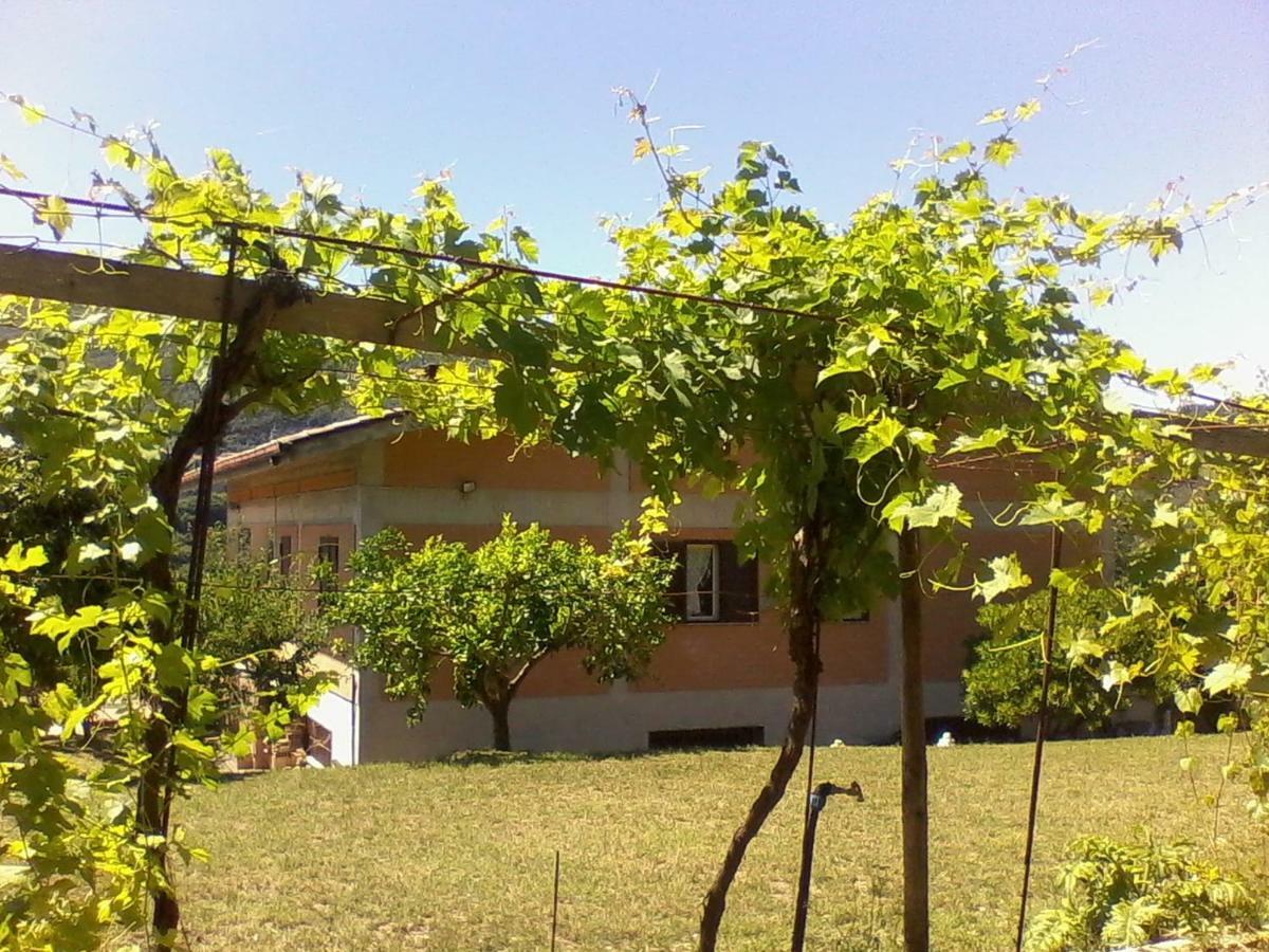 The Country Path B&B Toffia Екстер'єр фото